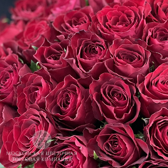 Букет Алая Вуаль, 51 роза, Кения