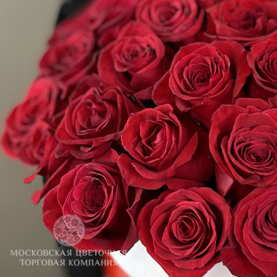 Букет 51 премиум роза Фридом в шляпной коробке, Эквадор