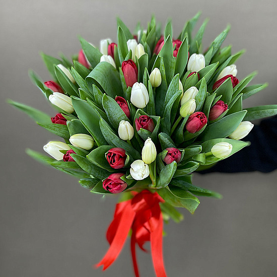 Букет 51 тюльпан, красно-белый микс