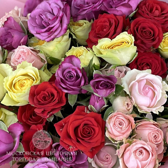 Букет кустовых роз "Сегодня особенный день"