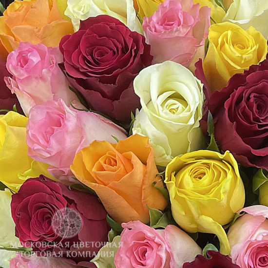Букет из 33 роз Цвет радуги