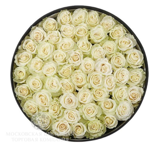 Букет 55 роз Мондиаль в шляпной коробке
