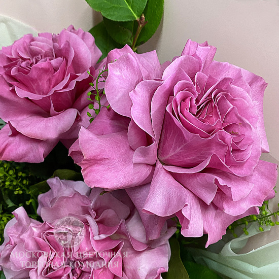 Букет 5 пионовидных роз Кантри Блюз