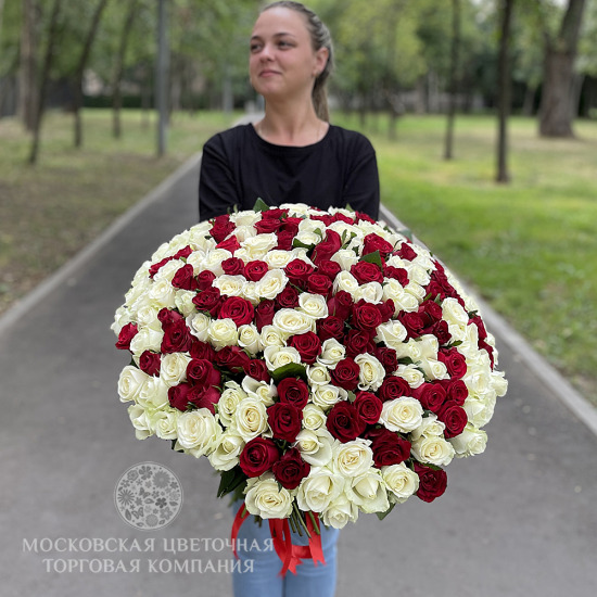 Букет 201 роза, красно-белый микс, Россия