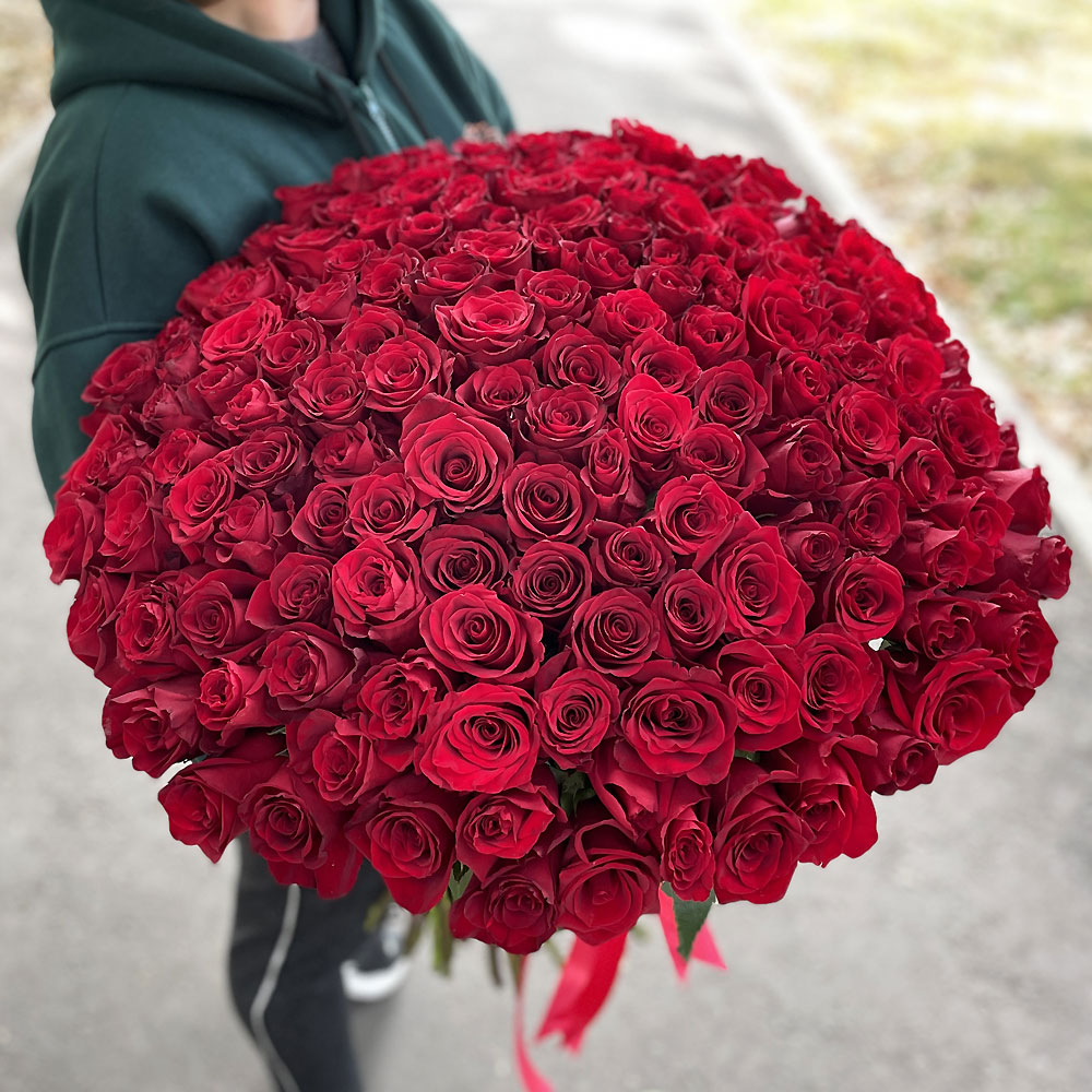 Роза Букет 151 премиум роза Эксплорер купить с доставкой круглосуточно