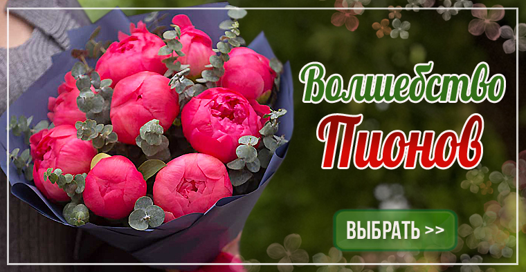 Доставка цветов.  Купить пионы с доставкой