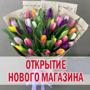 Открытие нового  розничного филиала сети в районе метро Дмитровская
