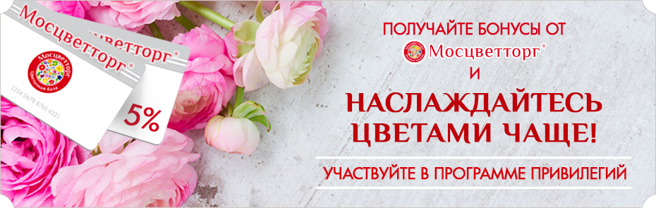 banner-2019-privilegia-gorizontal.png banner-2019-privilegia-gorizontal.png