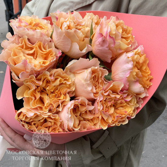 Букет 11 премиальных роз Кампанелла Пич