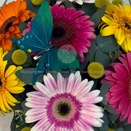 Букет с герберами "Бабочки-цветочки"