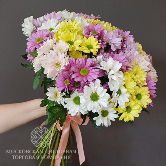 Букет 25 кустовых хризантем микс