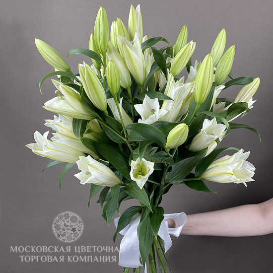 Букет 11 лилий Белая красавица купить за 8 290 руб. с круглосуточной ...