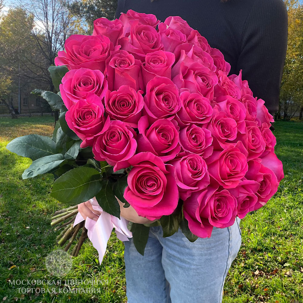 Розы pink floyd купить цветы питомники в москва