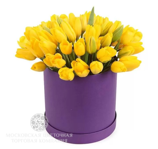 Букет 51 тюльпан в коробке, желтые