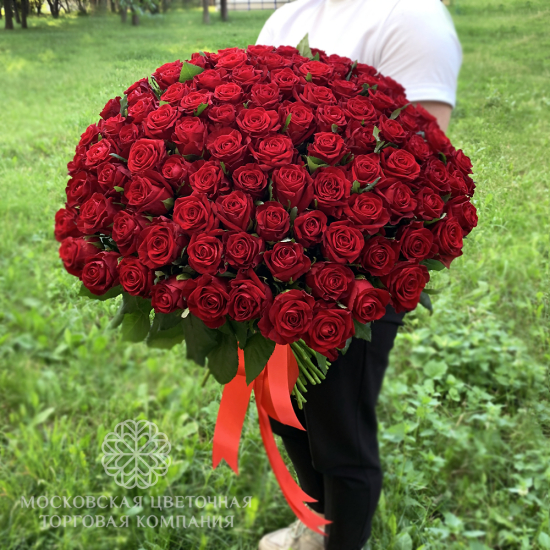 101 красная роза, Россия, 60 см