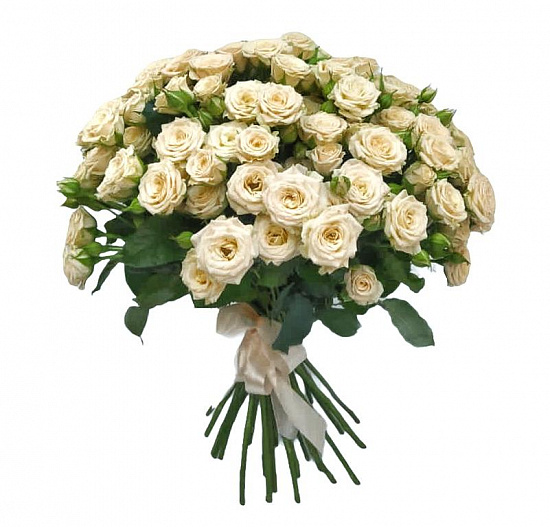 Букет 35 кремовых кустовых роз