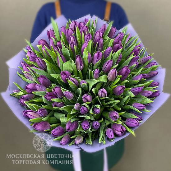 Букет 101 тюльпан, пурпурные