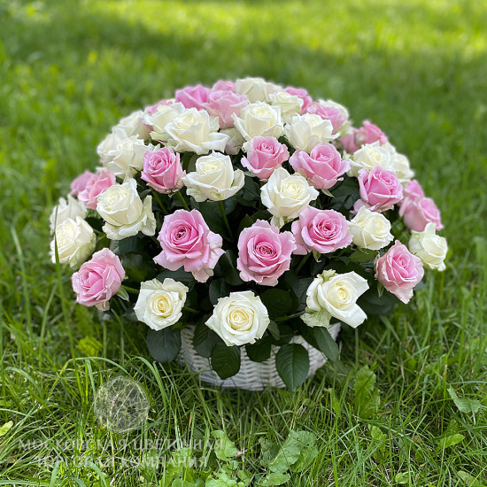 Букет из 75 роз в корзине, бело-розовый микс