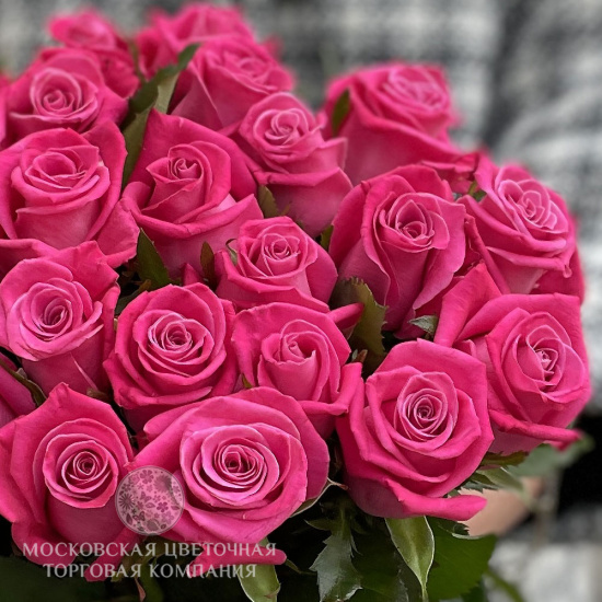 Букет 25 роз Космик