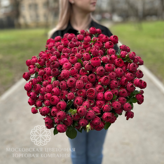 Букет "Королевский Бархат", кустовая роза Марун