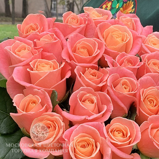Букет 25 персиково-розовых роз