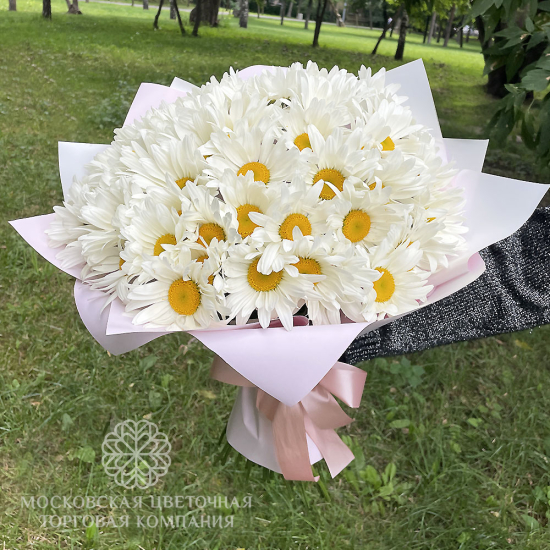 Букет "Семейное Счастье", 51 ромашка
