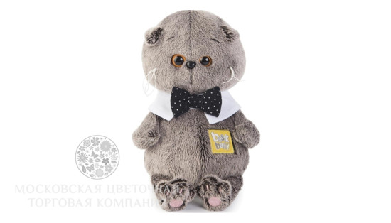 Смотреть кот басик