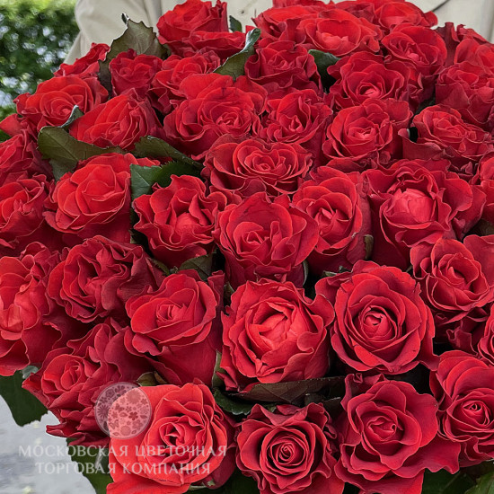 Букет 51 красных роз Эль Торо