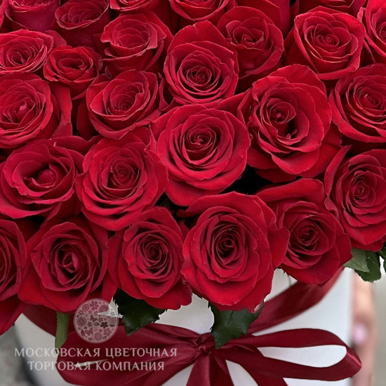 Букет 75 премиум роза Фридом в шляпной коробке, Эквадор