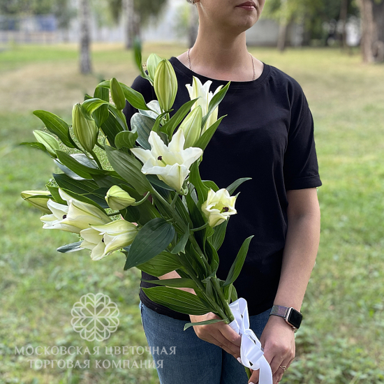 Букет 3 лилии Белая красавица