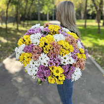 Букет 35 кустовых хризантем, микс