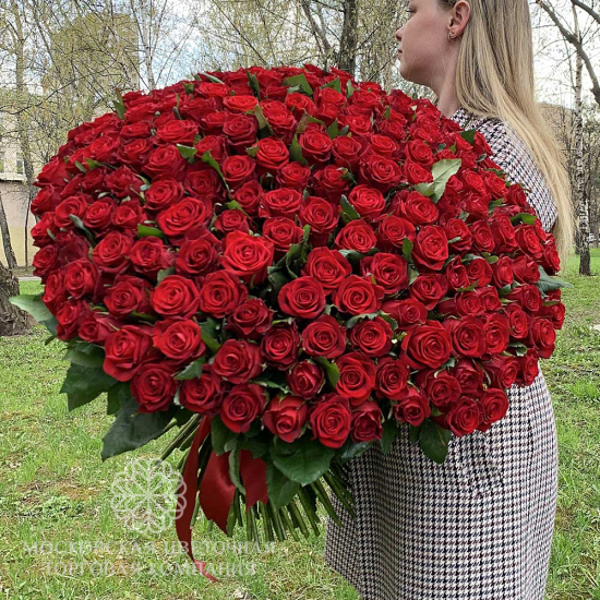 Букет из 201 красной розы