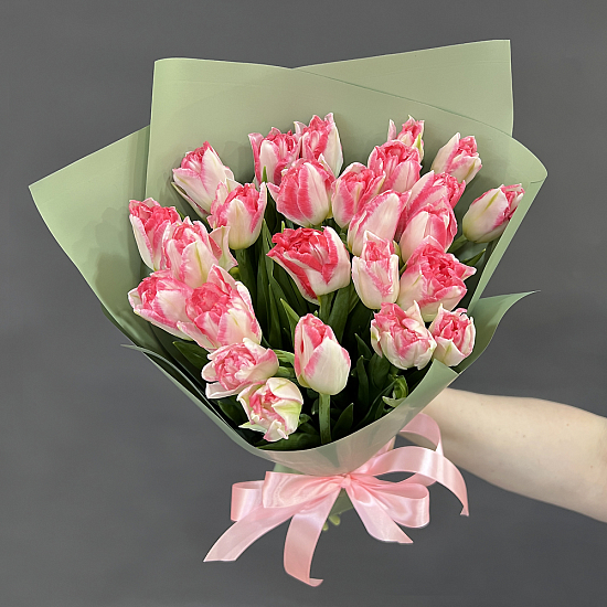 Букет 25 бело-розовых пионовидных тюльпанов Pink Delight