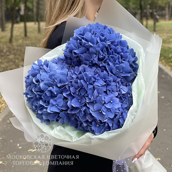 Букет гортензий "Небесный Синий", мини купить за 4 550 руб. с ...
