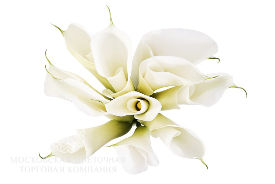Букет из калл Тишина Вечера