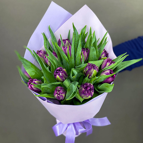 Букет 15 премиальных тюльпанов, пурпурные