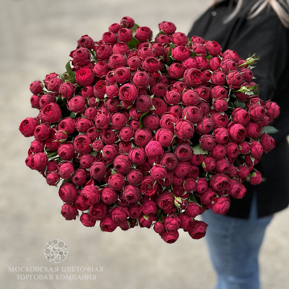 Букет "Королевский Бархат", кустовая роза Марун купить за 15 930 руб. с ...