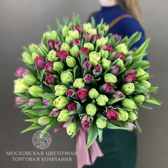 Букет 101 премиум тюльпан, розово-зеленый микс