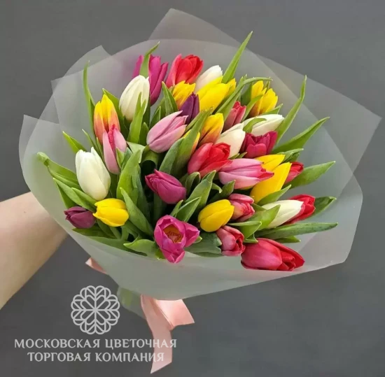 Букет корп №25, 35 тюльпанов микс в матовой полупрозрачной пленке