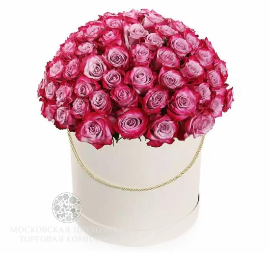 Букет 101 роза Дип Перпл в шляпной коробке