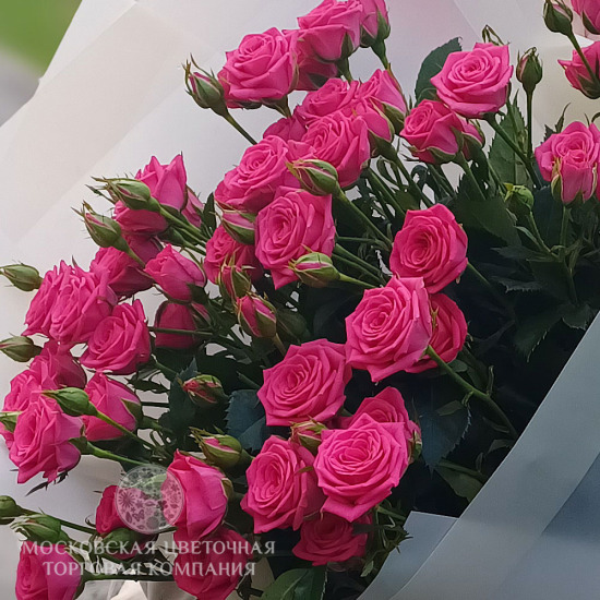 Букет 11 кустовых роз Йо-Йо
