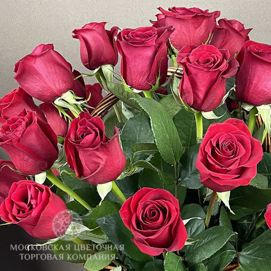 Букет 35 премиум роз Фридом в корзине, Эквадор