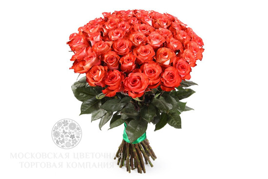 Букет 51 роза Игуана, коралловая