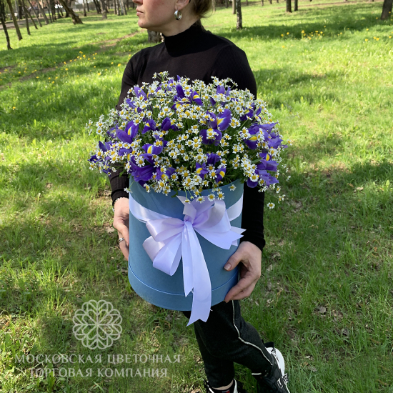 Букет с ромашками Королева полей в коробке