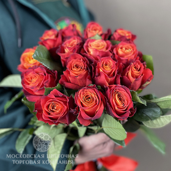Букет 15 премиальных роз Атомик, Эквадор
