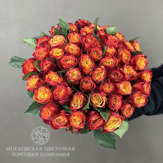 Букет 51 премиальная роза Атомик, Эквадор