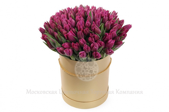 Букет 101 тюльпан в коричневой коробке, пурпурные