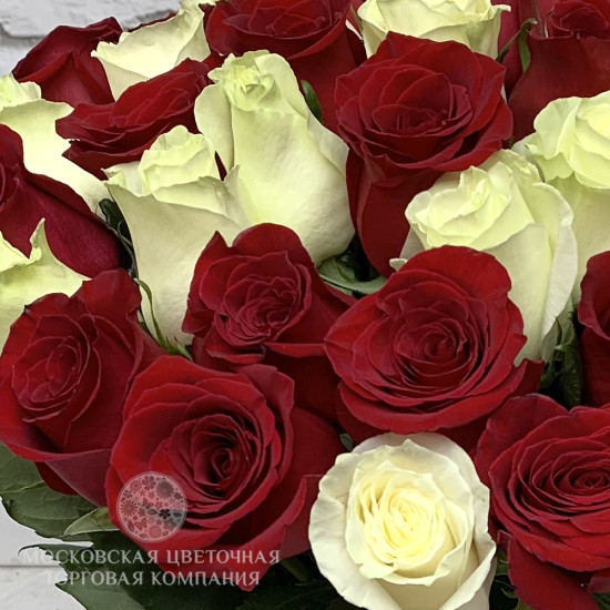 Букет 51 роза красно-белый микс, Эквадор