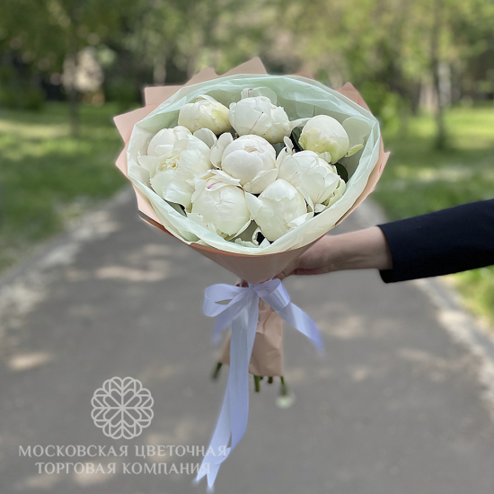 Букет 9 белых пионов