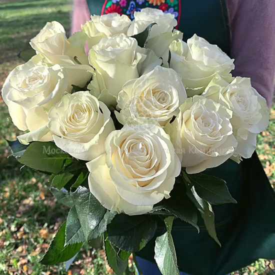 Букет Светлые грезы, 11 премиальных эквадорских роз